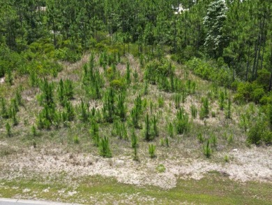 Build your dream home on this shovel ready premium lot in The on Saint Josephs Bay Country Club in Florida - for sale on GolfHomes.com, golf home, golf lot