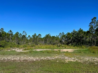 Build your dream home on this shovel ready premium lot in The on Saint Josephs Bay Country Club in Florida - for sale on GolfHomes.com, golf home, golf lot
