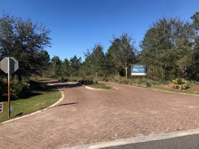 Build your dream home on this shovel ready premium lot in The on Saint Josephs Bay Country Club in Florida - for sale on GolfHomes.com, golf home, golf lot