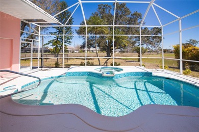 Waterview Pool Home in Deep Creek - 27099 Ecuador Dr. Punta on Deep Creek Golf Club in Florida - for sale on GolfHomes.com, golf home, golf lot