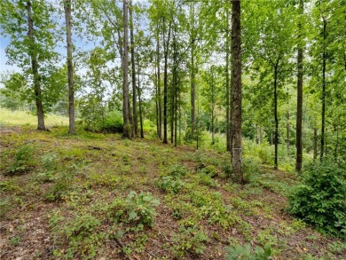 Situated in the Landing section of The Cliffs at Keowee Springs on The Cliffs At Keowee Springs in South Carolina - for sale on GolfHomes.com, golf home, golf lot