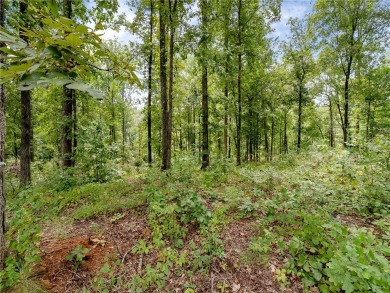 Situated in the Landing section of The Cliffs at Keowee Springs on The Cliffs At Keowee Springs in South Carolina - for sale on GolfHomes.com, golf home, golf lot