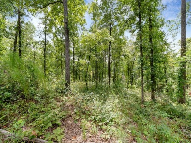 Situated in the Landing section of The Cliffs at Keowee Springs on The Cliffs At Keowee Springs in South Carolina - for sale on GolfHomes.com, golf home, golf lot