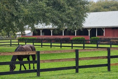 ''Downtown Aiken. One Acre. Endless Possibilities'' A on Palmetto Golf Club, Inc. in South Carolina - for sale on GolfHomes.com, golf home, golf lot