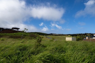 Seize the opportunity to build your dream home in the on Kapalua Golf Club - Plantation Course in Hawaii - for sale on GolfHomes.com, golf home, golf lot