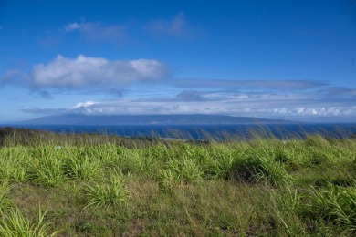 Seize the opportunity to build your dream home in the on Kapalua Golf Club - Plantation Course in Hawaii - for sale on GolfHomes.com, golf home, golf lot