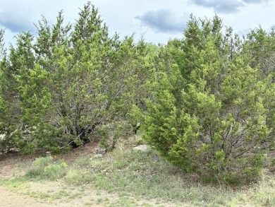 The wait is over for the perfect build site in the sought after on The Cliffs Resort in Texas - for sale on GolfHomes.com, golf home, golf lot