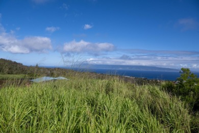 Seize the opportunity to build your dream home in the on Kapalua Golf Club - Plantation Course in Hawaii - for sale on GolfHomes.com, golf home, golf lot