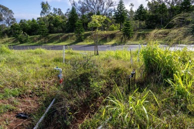 Seize the opportunity to build your dream home in the on Kapalua Golf Club - Plantation Course in Hawaii - for sale on GolfHomes.com, golf home, golf lot