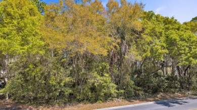 Build your Kiawah Island masterpiece on one of the few remaining on Kiawah Island Resort - Cougar Point in South Carolina - for sale on GolfHomes.com, golf home, golf lot