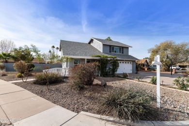 Welcome to 1655 W Meseto Circle, a beautifully updated 4 bedroom on Dobson Ranch Municipal Golf Course in Arizona - for sale on GolfHomes.com, golf home, golf lot