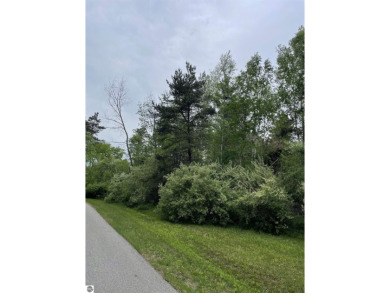 2 buildable parcels for sale in a great area! These wooded lots on Pleasant Hills Golf Club in Michigan - for sale on GolfHomes.com, golf home, golf lot