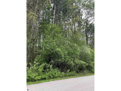 2 buildable parcels for sale in a great area! These wooded lots on Pleasant Hills Golf Club in Michigan - for sale on GolfHomes.com, golf home, golf lot