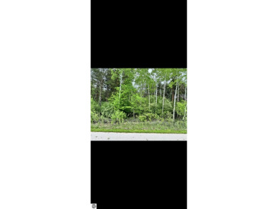 2 buildable parcels for sale in a great area! These wooded lots on Pleasant Hills Golf Club in Michigan - for sale on GolfHomes.com, golf home, golf lot