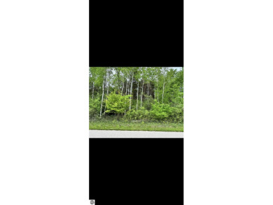 2 buildable parcels for sale in a great area! These wooded lots on Pleasant Hills Golf Club in Michigan - for sale on GolfHomes.com, golf home, golf lot