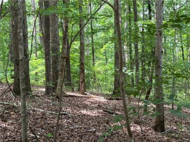 Wow! Wow! What a Great buy!!!
 You can purchase 3 lots for a on The Trail At Chickasaw Pointe in South Carolina - for sale on GolfHomes.com, golf home, golf lot