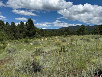 VIEWS!!! This easy-to-build-on lot has everything, because few on Angel Fire Resort Country Club in New Mexico - for sale on GolfHomes.com, golf home, golf lot