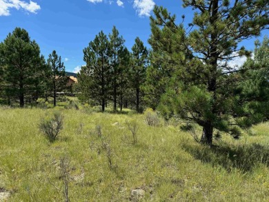 VIEWS!!! This easy-to-build-on lot has everything, because few on Angel Fire Resort Country Club in New Mexico - for sale on GolfHomes.com, golf home, golf lot