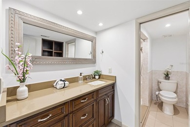 Turnkey Twin Lakes townhome with breathtaking views from BOTH on Carrollwood Country Club in Florida - for sale on GolfHomes.com, golf home, golf lot