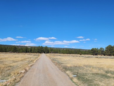 Nestled among tall Ponderosa Pine trees and less than one hour on The Divide Ranch and Club in Colorado - for sale on GolfHomes.com, golf home, golf lot