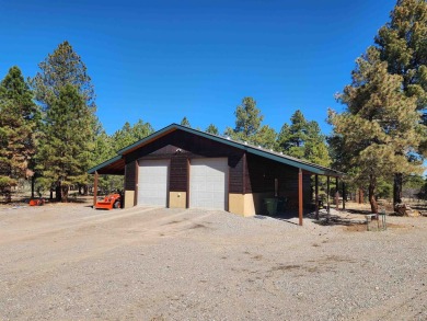 Nestled among tall Ponderosa Pine trees and less than one hour on The Divide Ranch and Club in Colorado - for sale on GolfHomes.com, golf home, golf lot