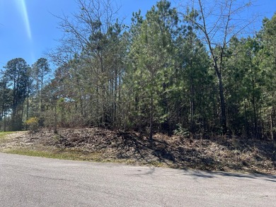 1.19-acre lot in the prestigious neighborhood of Midland Valley on Midland Valley Country Club in South Carolina - for sale on GolfHomes.com, golf home, golf lot