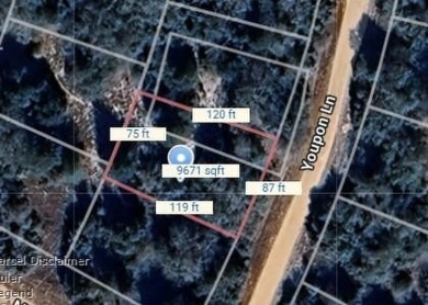 THIS IS THE VERY BEST COUNTY CLUB IN TEXAS for the money. Let me on Hilltop Lakes Resort Golf Club in Texas - for sale on GolfHomes.com, golf home, golf lot