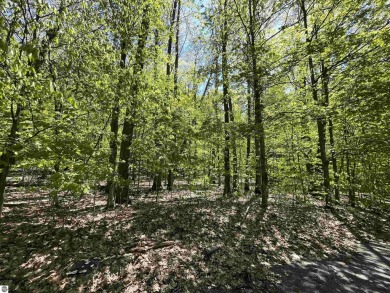 Surround yourself among nature and endless recreation on Manitou Passage Golf Club in Michigan - for sale on GolfHomes.com, golf home, golf lot