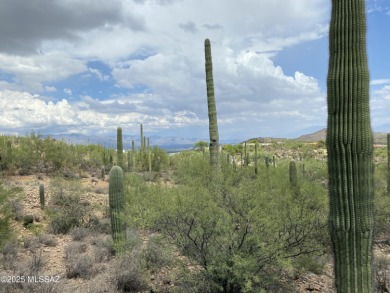 Perched high above the prestigious Starr Pass resort community on Starr Pass Golf Club in Arizona - for sale on GolfHomes.com, golf home, golf lot