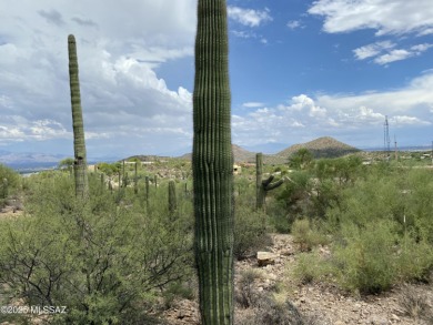 Perched high above the prestigious Starr Pass resort community on Starr Pass Golf Club in Arizona - for sale on GolfHomes.com, golf home, golf lot