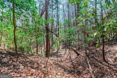 Are you ready to build your dream home in the North GA on White Path Golf Club in Georgia - for sale on GolfHomes.com, golf home, golf lot