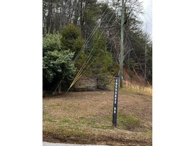 The mountains are calling and this Buckhorn Estates corner on White Path Golf Club in Georgia - for sale on GolfHomes.com, golf home, golf lot