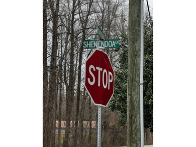 The mountains are calling and this Buckhorn Estates corner on White Path Golf Club in Georgia - for sale on GolfHomes.com, golf home, golf lot