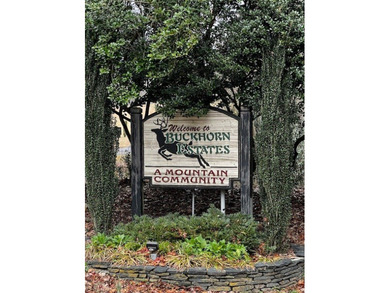 The mountains are calling and this Buckhorn Estates corner on White Path Golf Club in Georgia - for sale on GolfHomes.com, golf home, golf lot