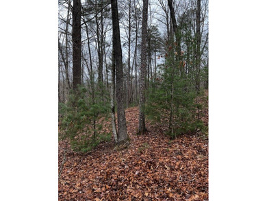 The mountains are calling and this Buckhorn Estates corner on White Path Golf Club in Georgia - for sale on GolfHomes.com, golf home, golf lot