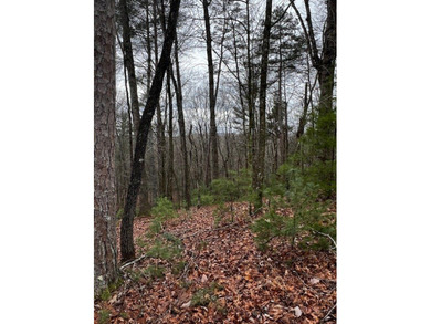 The mountains are calling and this Buckhorn Estates corner on White Path Golf Club in Georgia - for sale on GolfHomes.com, golf home, golf lot