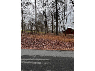 The mountains are calling and this Buckhorn Estates corner on White Path Golf Club in Georgia - for sale on GolfHomes.com, golf home, golf lot
