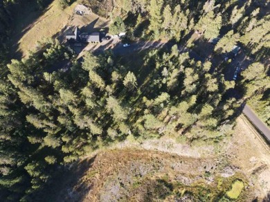 Here is your chance to own one of the original Lots in Jug on Jug Mountain Ranch Golf Course in Idaho - for sale on GolfHomes.com, golf home, golf lot