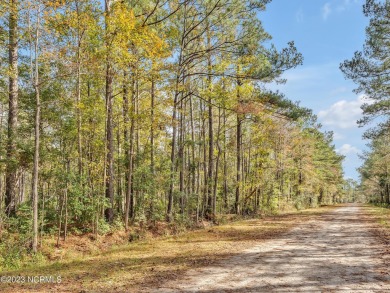 Explore the potential of these two wooded lots located in on The Lakes Country Club in North Carolina - for sale on GolfHomes.com, golf home, golf lot