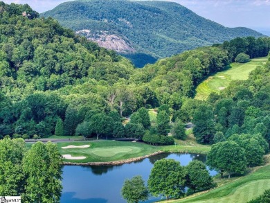 Welcome home to privacy, quality, and square footage value on The Cliffs at Glassy Golf and Country Club in South Carolina - for sale on GolfHomes.com, golf home, golf lot