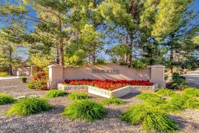 Rare Opportunity Awaits in Exclusive Pines at The Raven! This 3 on Raven Golf Club At South Mountain in Arizona - for sale on GolfHomes.com, golf home, golf lot