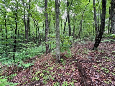 Build Your Mountain Retreat in Bent Tree Don't miss this on Bent Tree Golf Course in Georgia - for sale on GolfHomes.com, golf home, golf lot