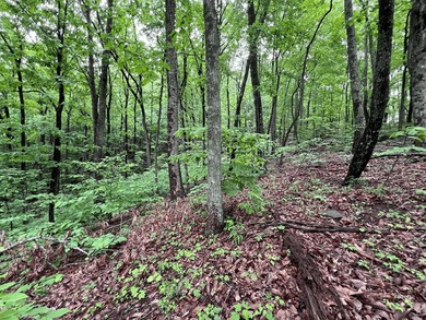 Build Your Mountain Retreat in Bent Tree Don't miss this on Bent Tree Golf Course in Georgia - for sale on GolfHomes.com, golf home, golf lot