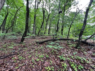 Build Your Mountain Retreat in Bent Tree Don't miss this on Bent Tree Golf Course in Georgia - for sale on GolfHomes.com, golf home, golf lot