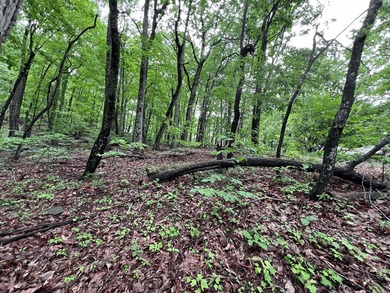 Build Your Mountain Retreat in Bent Tree Don't miss this on Bent Tree Golf Course in Georgia - for sale on GolfHomes.com, golf home, golf lot