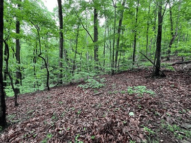 Build Your Mountain Retreat in Bent Tree Don't miss this on Bent Tree Golf Course in Georgia - for sale on GolfHomes.com, golf home, golf lot