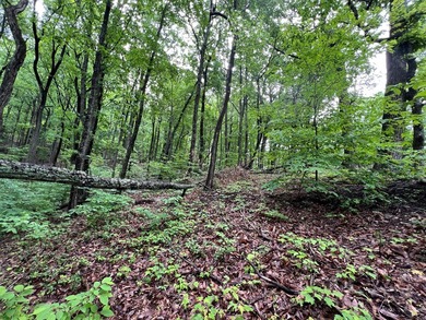 Build Your Mountain Retreat in Bent Tree Don't miss this on Bent Tree Golf Course in Georgia - for sale on GolfHomes.com, golf home, golf lot