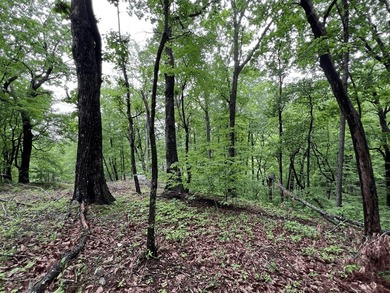 Build Your Mountain Retreat in Bent Tree Don't miss this on Bent Tree Golf Course in Georgia - for sale on GolfHomes.com, golf home, golf lot