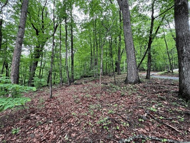 Invest now or Build Your Mountain Retreat in Bent Tree. Don't on Bent Tree Golf Course in Georgia - for sale on GolfHomes.com, golf home, golf lot