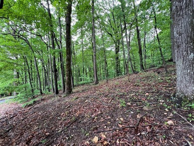 Invest now or Build Your Mountain Retreat in Bent Tree. Don't on Bent Tree Golf Course in Georgia - for sale on GolfHomes.com, golf home, golf lot